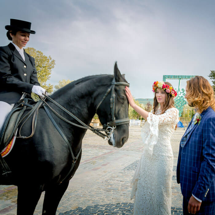 Caballo en Boda en Bodega FG