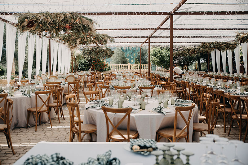 Organización profesional